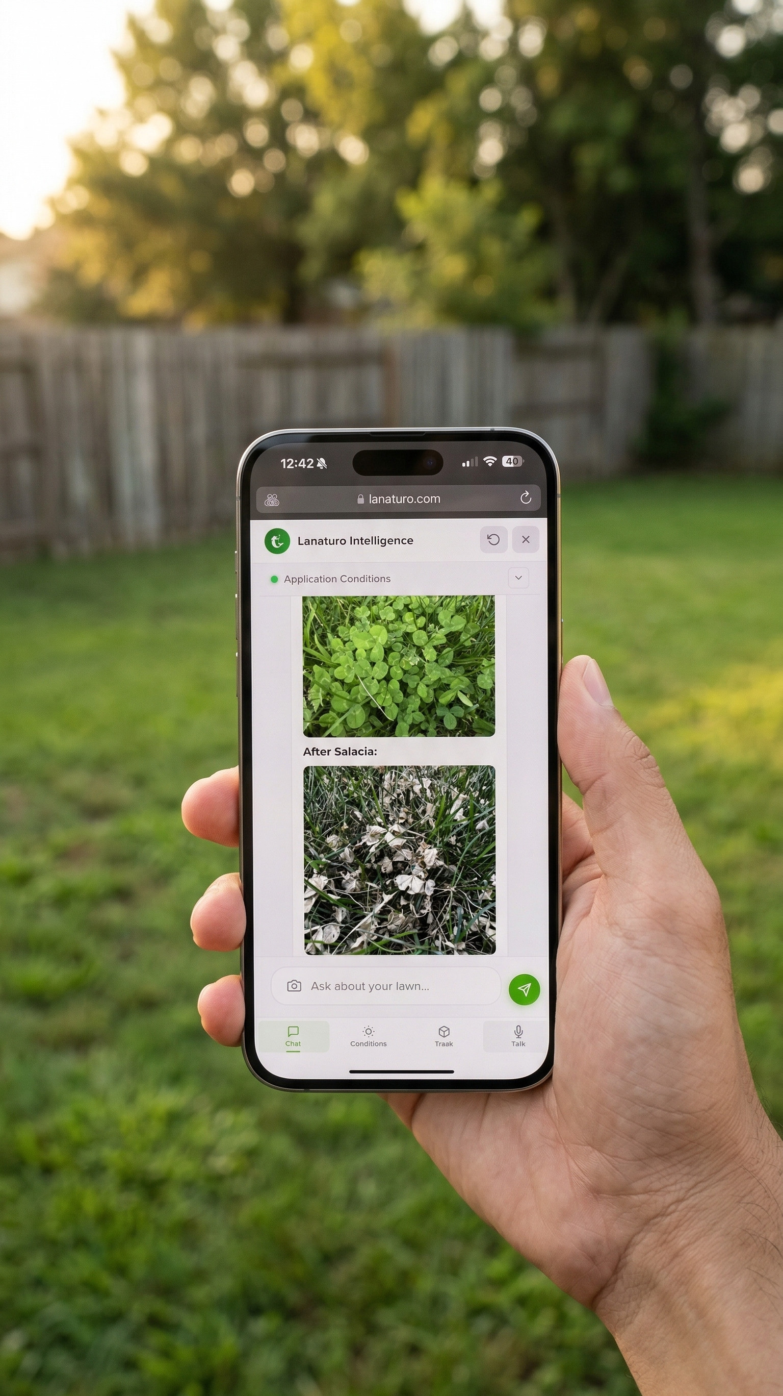 Step 4 — Weed identified with before and after photos showing treatment results