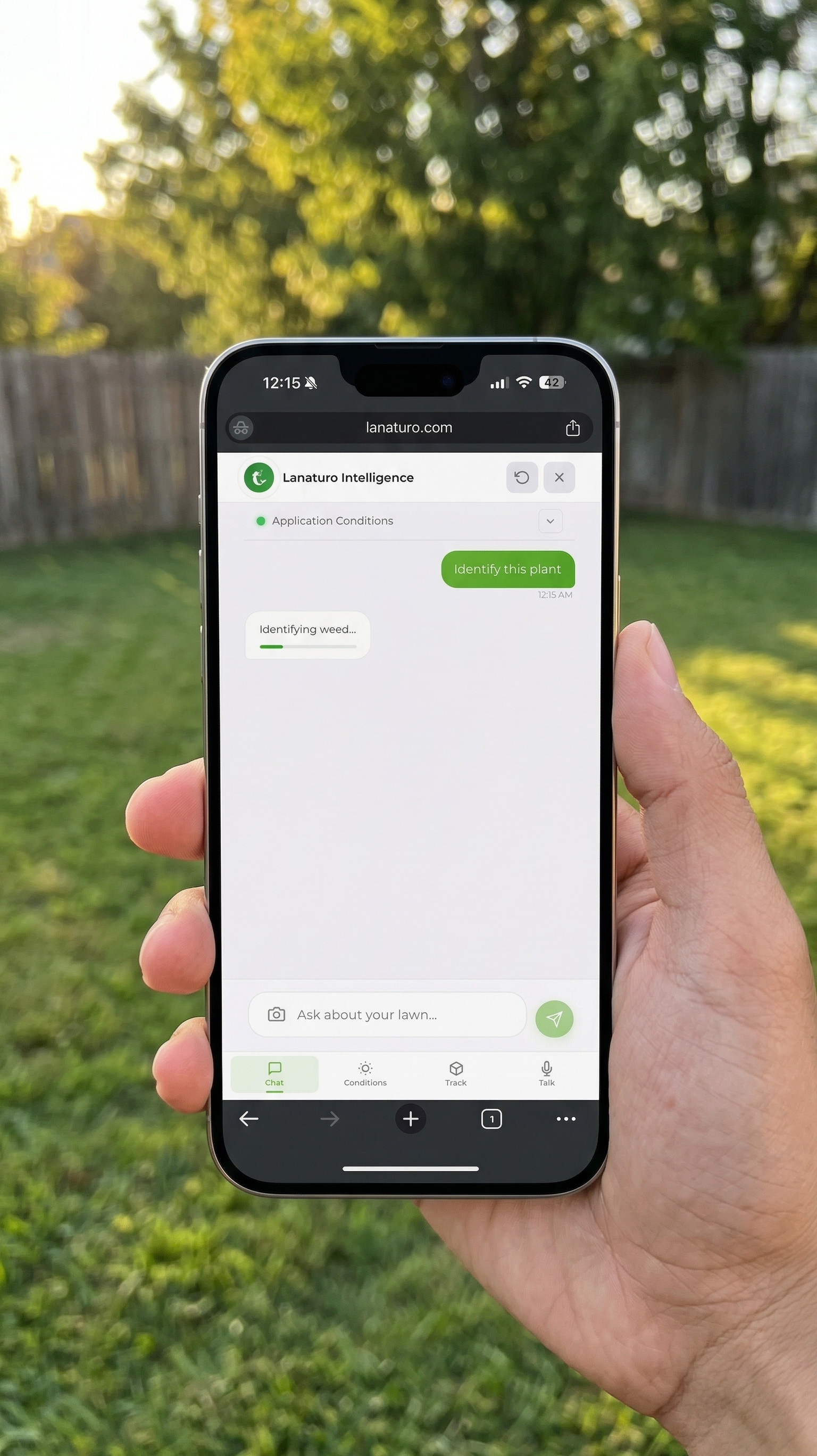 Step 3 — Lanaturo Intelligence identifying the weed from your photo