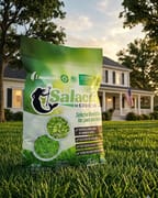 Best Natural & Organic Weed Killer for Lawns (2026 Guide)