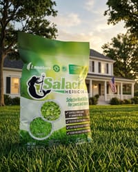Best Organic Weed Killer for Lawns: Selective + OMRI (2026)