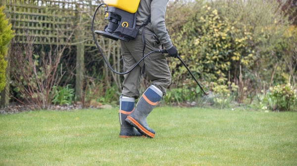 How Does Selective Weed Killer Work: A Simple Guide