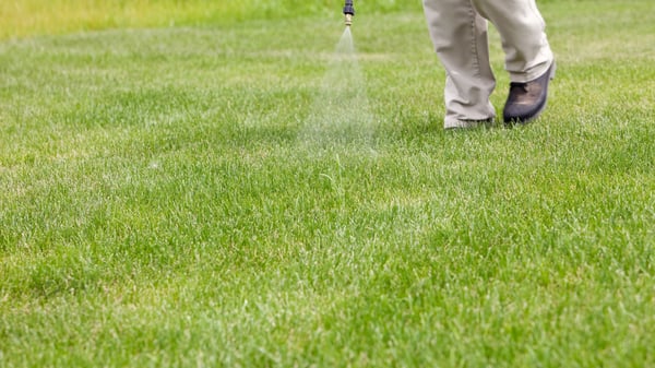 What is a Selective Weed Killer?